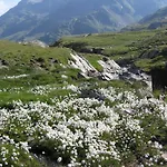 Thurwieser فندق